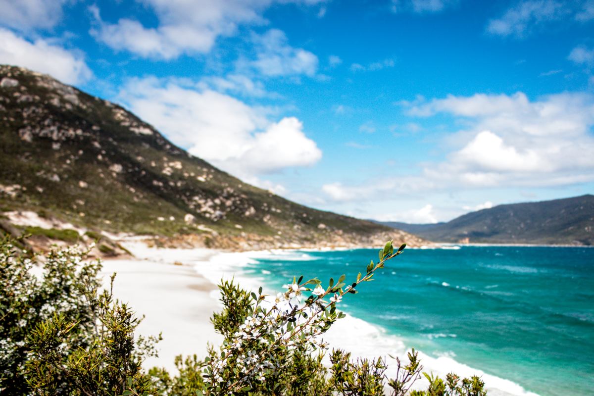 Wilson's Promontory - a must-see in Australia Scenic overview of Wilson's Promontory